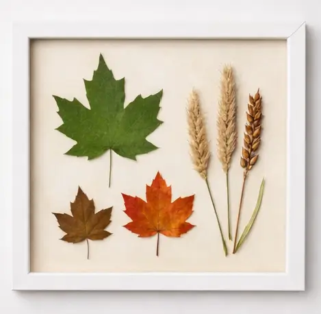 quadro com folhas prensadas para decoração natural